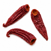 Pianta di Peperone Crusco tipo Senise (Capsicum annuum)