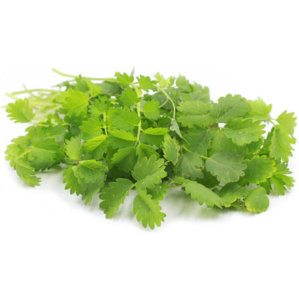 Pianta di pimpinella (Sanguisorba)