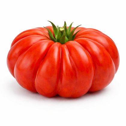 Sementi Pomodoro costoluto "Gallinaro"