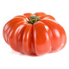 Pianta innestata di Pomodoro gigante (beefsteak)