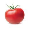 Pianta innestata di Pomodoro tondo Optima