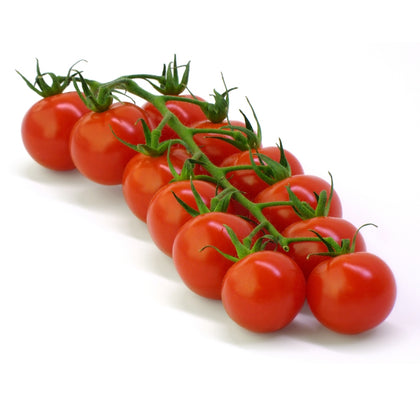 Pianta di Pomodoro ciliegino ibrido in vaso