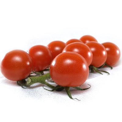 Pianta di Pomodoro ciliegino cocktail ibrido