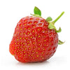 Fraisier Anabelle en pot