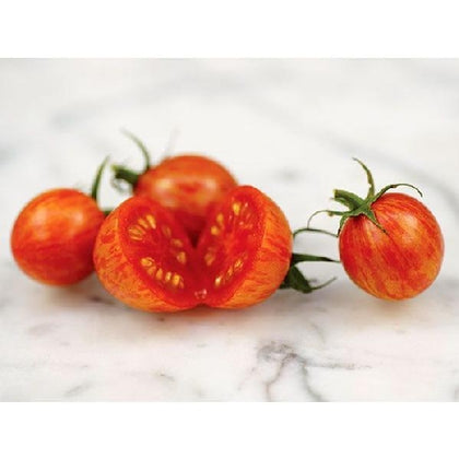 Pianta di Pomodoro ciliegino giallo striato in vaso