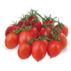 Pianta di Pomodoro Vesuviano (piennolo) in vaso