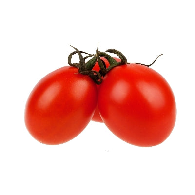 Pianta di Pomodoro Principe Borghese in vaso