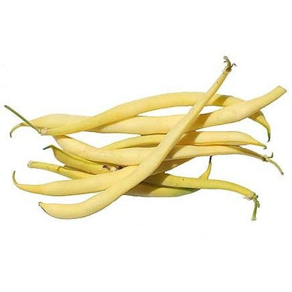 Pianta di fagiolino giallo (burro) mangiatutto nano