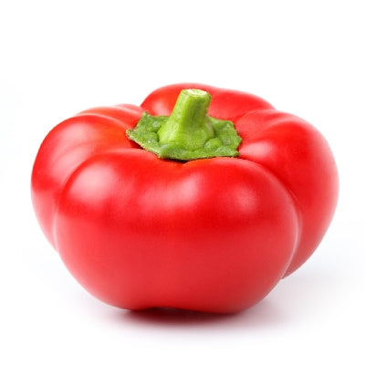 Pianta di Peperone calabrese (topepo) rosso