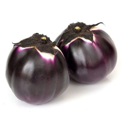 Pianta di Melanzana tonda viola in vaso