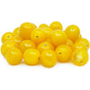 Plant de tomate cerise jaune en pot