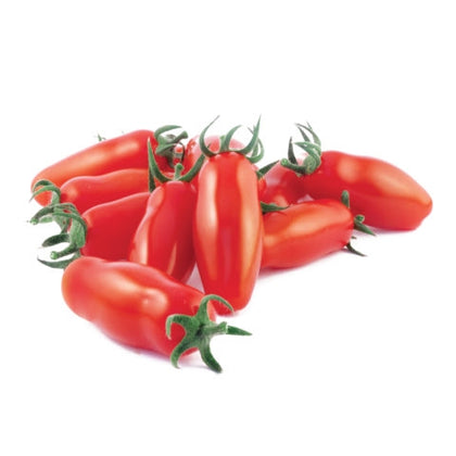 Pianta di Pomodoro mini San Marzano vaso