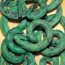 Pianta di fagiolino mangiatutto nano anellino di Trento