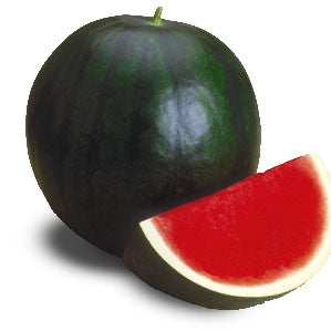 Pianta di Anguria nera (sugar baby) vaso