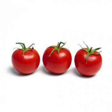 Pianta di Pomodoro ciliegino ibrido in vaso