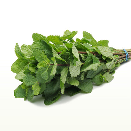 Pianta di Menta da tea (marocchina) vaso