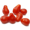 Mini plant de tomate poire rouge en pot