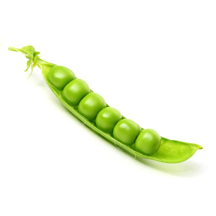 Plante de pois grimpant Téléphone