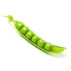 Plante de pois grimpant Téléphone