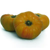 Plante de tomate ronde jaune ananas en pot