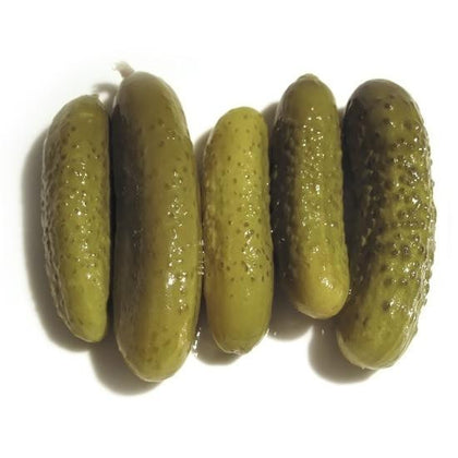 Pianta di Cetriolino per sottaceti vaso