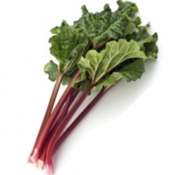 Pianta di Rabarbaro in vaso