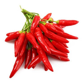 Pianta di Peperoncino a mazzetti vaso