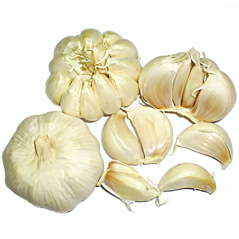 Pianta di Aglio bianco in vaso