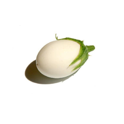 Pianta di Melanzana mini bianca a uovo vaso