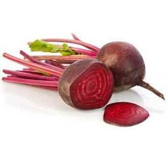 Pianta di Barbabietola tonda Detroit vaso