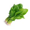 Plant de blettes à couper en pot
