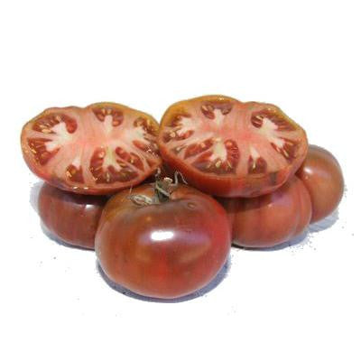 Pianta di Pomodoro tondo nero Black from Tula vaso