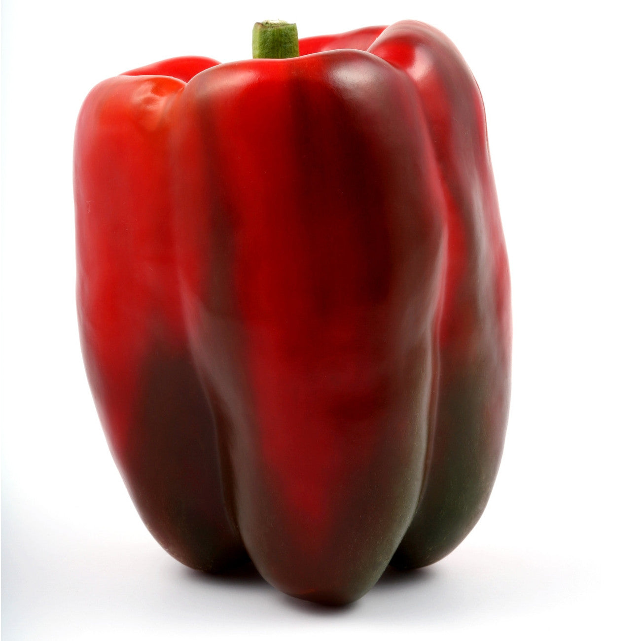 Pianta di Peperone quadrato rosso vaso