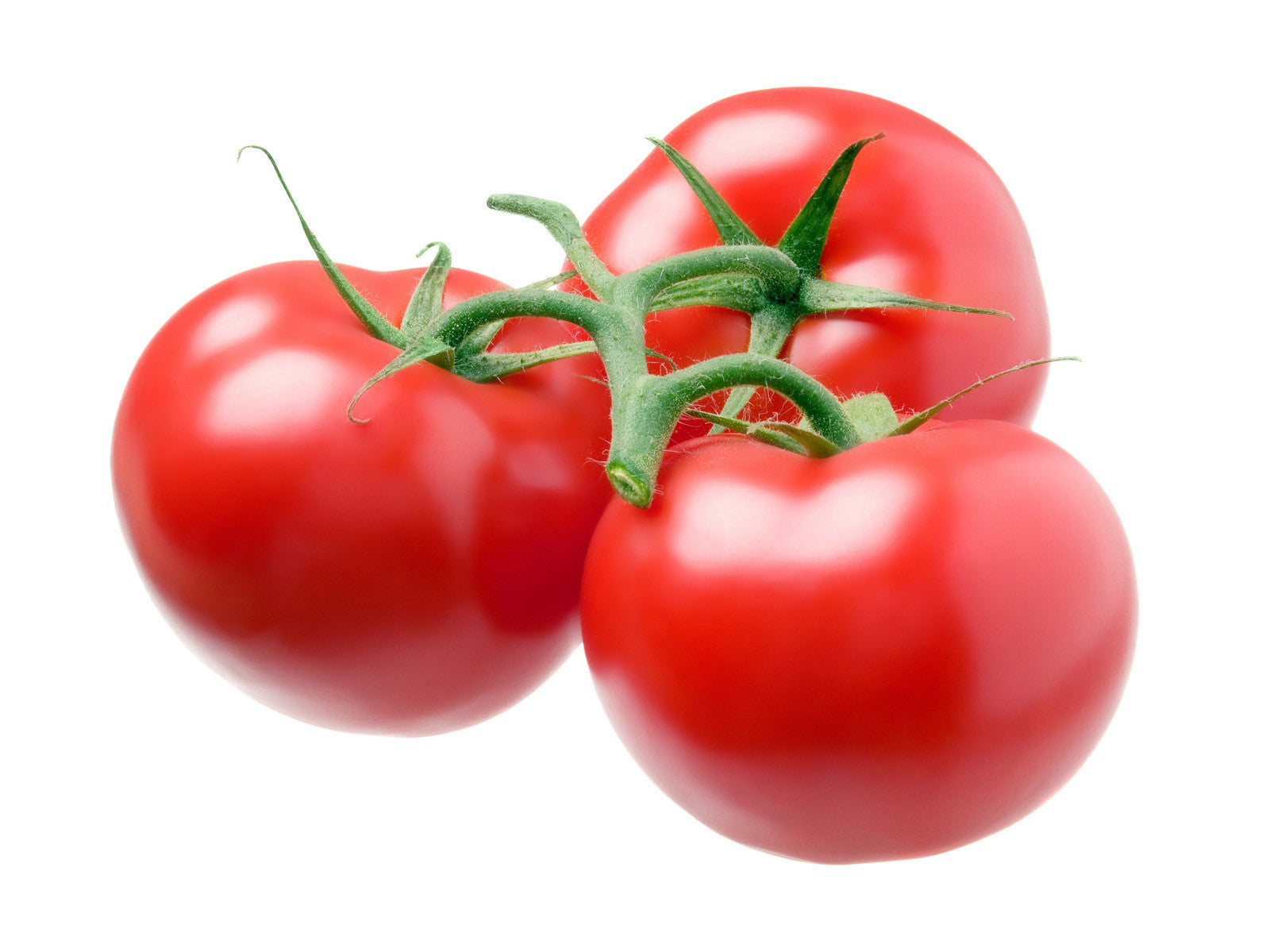 Pot de plant de tomates en grappes rondes hybrides