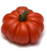 Plant de tomate à côtes hybride en pot