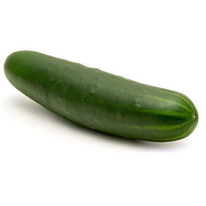 Pianta di Cetriolo Marketmore vaso