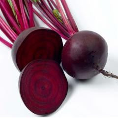 Pianta di Barbabietola rossa d'Egitto