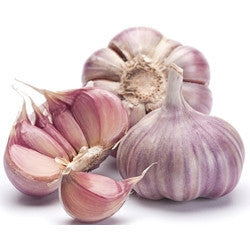 Pianta di Aglio viola francese in vaso