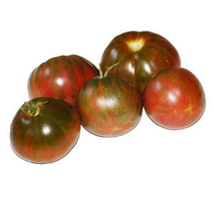 Pianta di Pomodoro tondo nero striato in vaso