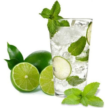 Pianta di Menta Mojito vaso