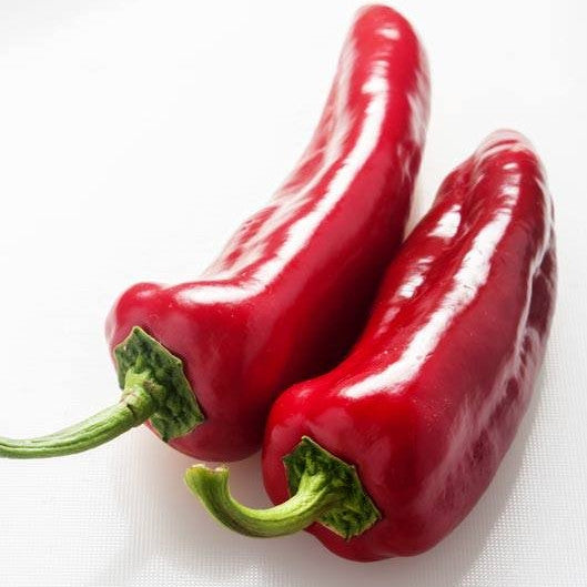 Poivron corne rouge en pot