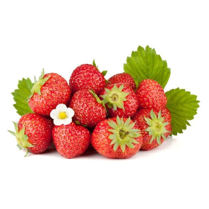 Pianta di Fragolina di bosco Regina delle valli