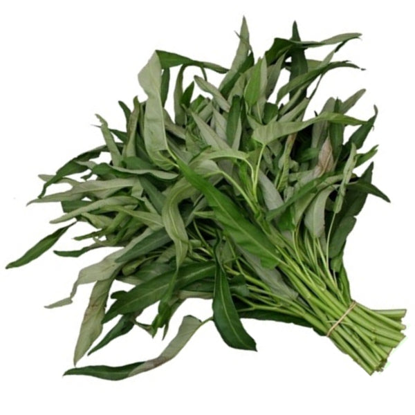 Plante d'épinards d'eau en pot