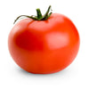 Plant de tomate ronde Montecarlo en pot