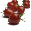 Plant de tomate fragolino en pot