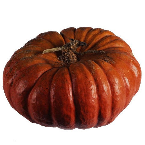 Potiron vase Rouge vif d'etampes